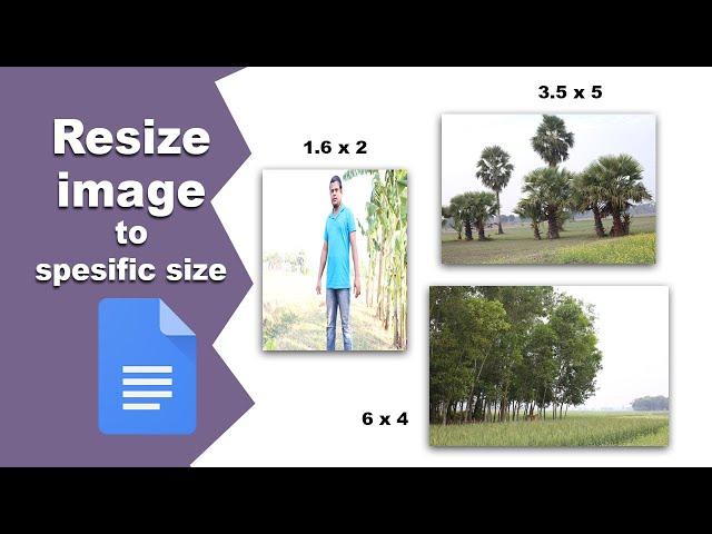 How to resize image to any specific size in Google Docs