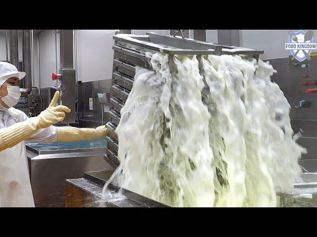 Amazing Korean food mass production! / Korea Food Factory