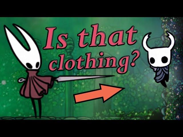 Explaining Why Vessels Wear Cloaks | Hollow Knight Lore