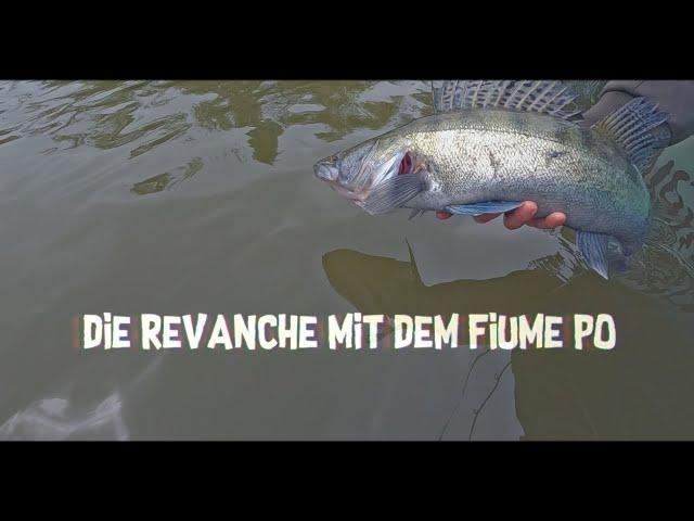 Die Revanche mit dem Fiume Po - Trailer #icatchfish #po #fluss #trailer #fischen #italy