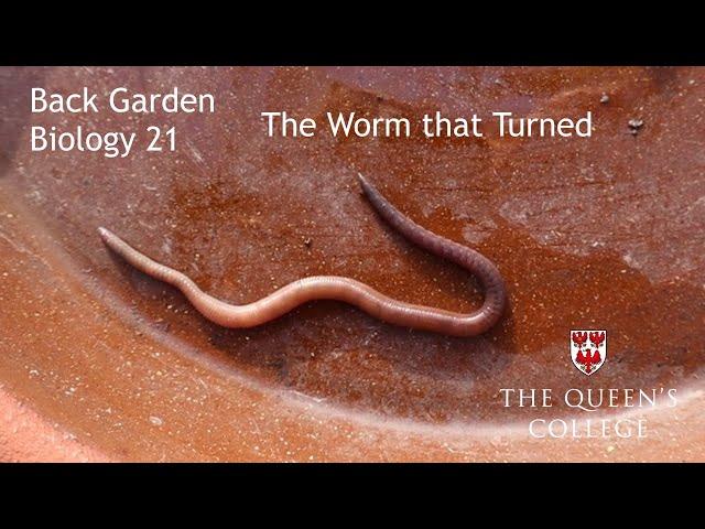 The Worm that Turned | Back Garden Biology 21 with Dr Lindsay Turnbull