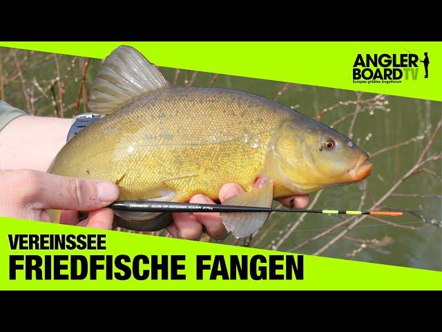 Angeln am Vereinssee | Friedfische einfach fangen | RUTE & ROLLE Classic | Anglerboard TV