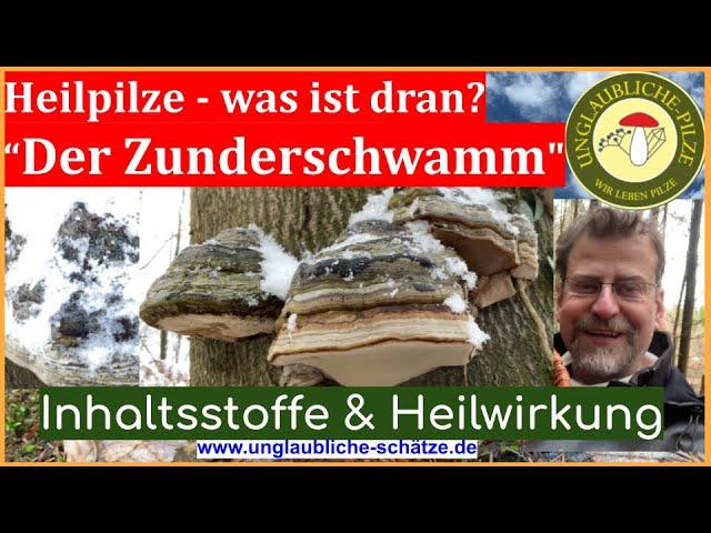 Heilpilze im Wald Teil 2 - der Zunderschwamm - was stimmt wirklich? Pilzwissen kompakt Februar 2023