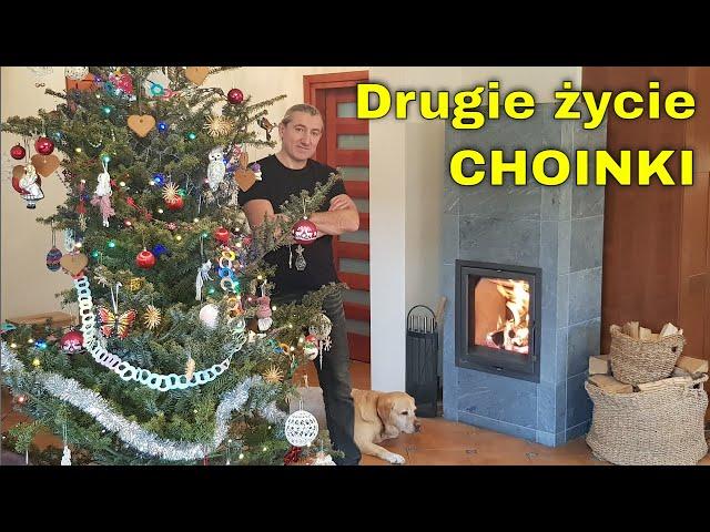 Drugie życie choinki - Co zrobiliśmy z choinką po Świętach Bożego Narodzenia? Wykorzystanie choinek.