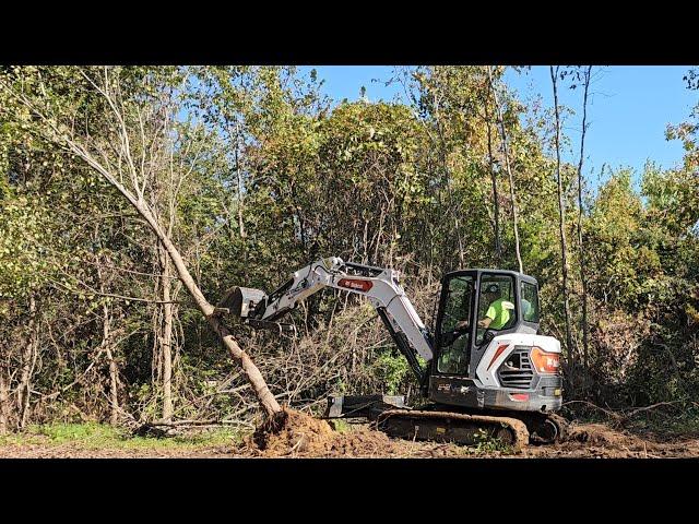 How to Clear land (Hardwood trees) with a Mini Excavator