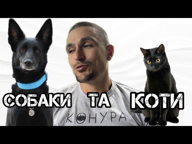 СОБАКИ ТА КОТИ / поради по одночасному утримуванню