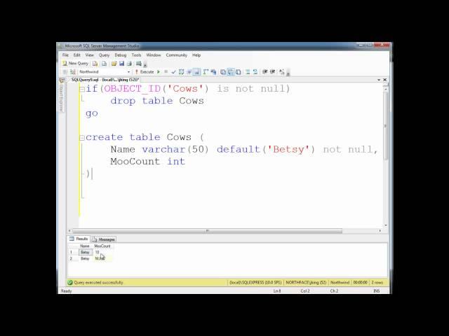 SQL Primary Keys and Identity Columns