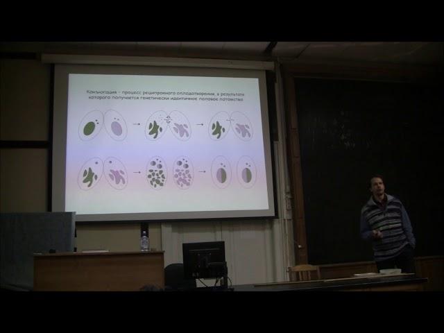 Bioseminars.ru: Откуда у инфузорий пол.