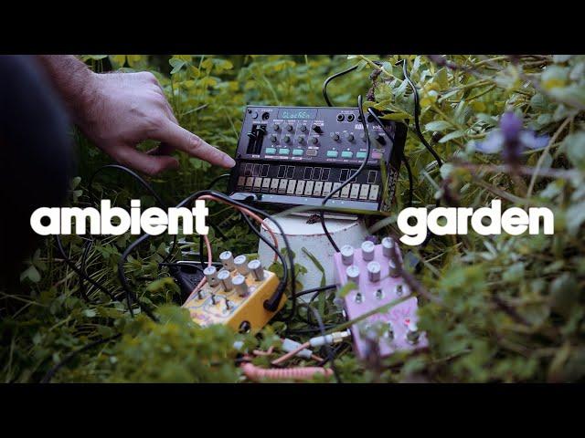 gardenia | volca fm ambient for contemplating your life | chase bliss LOSSY + HABIT | nature sounds