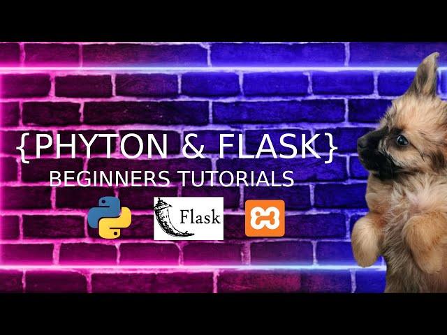 PHYTON AND FLASK  : BEGINNERS  CREATE/INSERT DATA FROM MYSQL DATABASE