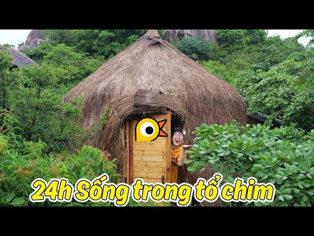 Thử Thách 24 Giờ Sống Trong Tổ Chim Khổng Lồ