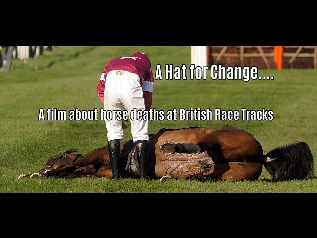 RACEHORSE DEATHS - 'A HAT FOR CHANGE' - ROYAL ASCOT 2016 - PART 1