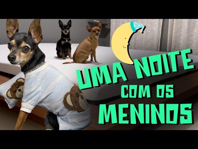 PASSAMOS UMA NOITE INTEIRA FILMANDO NOSSOS CACHORROS | ROTINA NOTURNA DOS PEQUENOS PRÍNCIPES