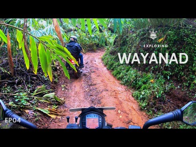 Exploring Wayanad - 4 - In Search Of Trails - Elimbileri - AnnyArun