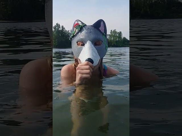 But my head was underwater #wolf #therian #water #underwater