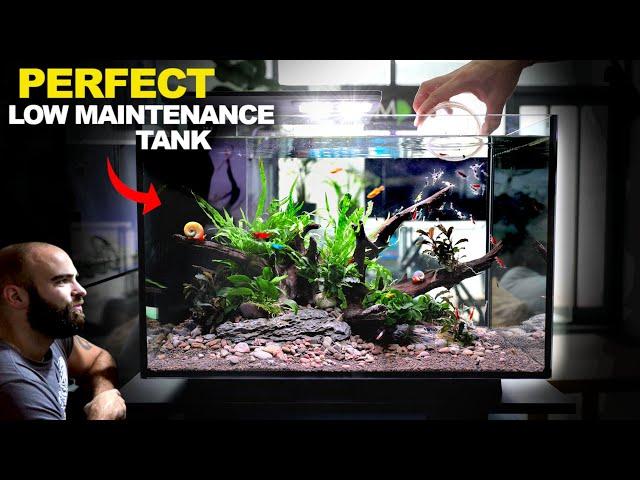 ALL IN ONE Peninsula Kit Aquarium: Easy & Stunning Setup