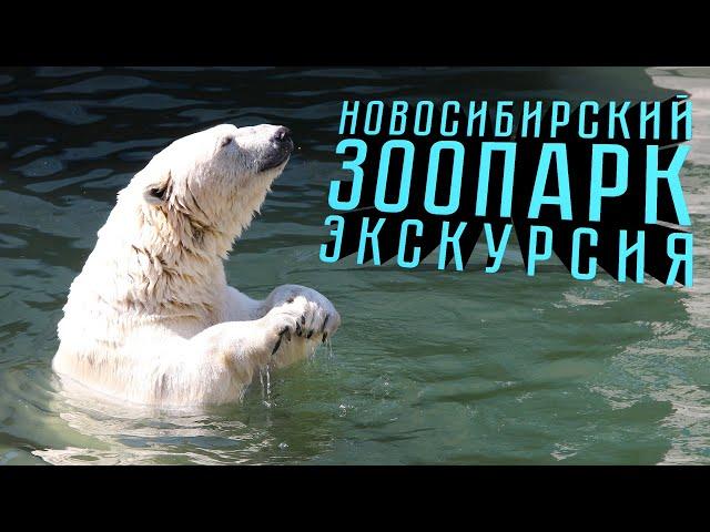 НОВОСИБИРСКИЙ ЗООПАРК | экскурсия