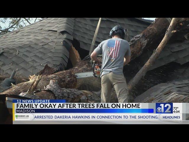 Madison family safe after trees fall on home