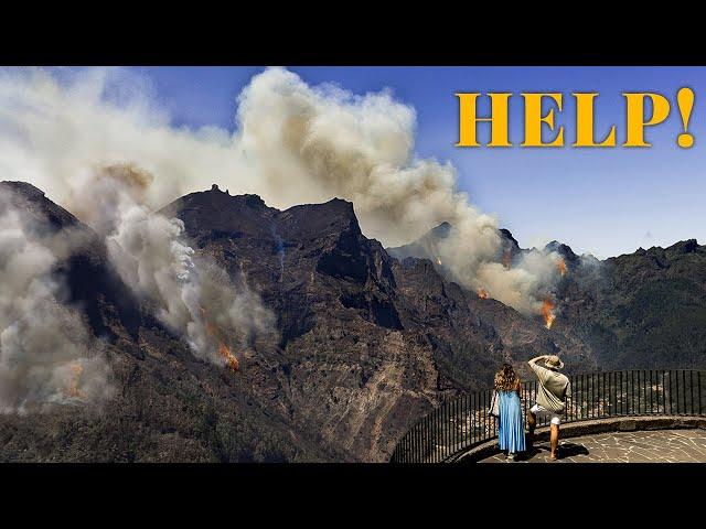 OUR ISLAND IS BURNING: The Devastating Madeira Wildfire!