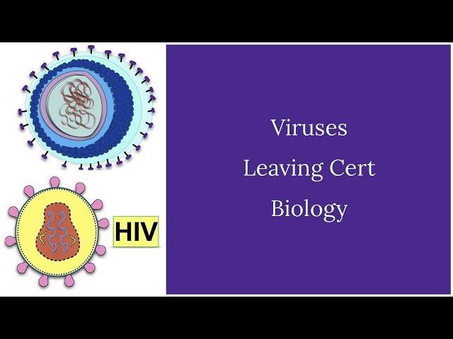 Viruses-Leaving Cert Biology-New recording