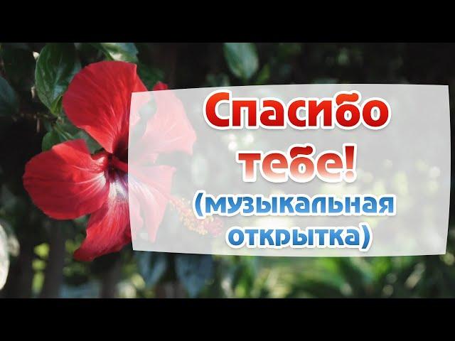 Спасибо! Благодарю тебя! Самые красивые пожелания. Музыкальная открытка.