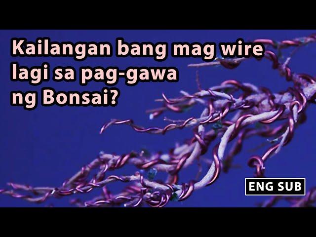 Wiring vs Clip & Grow Method on Bonsai  (ENG SUB)