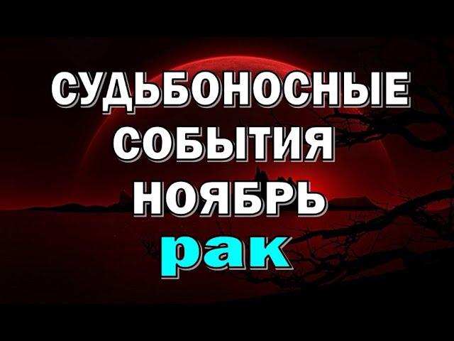 РАК  СЧАСТЬЕ в ЛЮБВИ  НОЯБРЬ. Таро прогноз гороскоп гадание