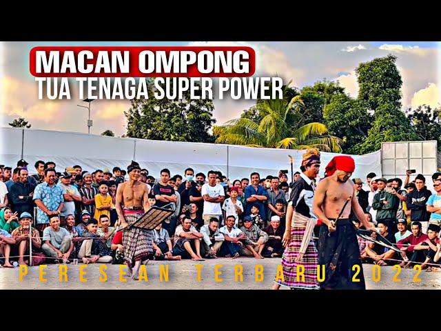 TUA TAPI TENAGA SUPER MACAN OMPONG || PERESEAN BARABALI 2022 || TRADISI BUDAYA SASAK LOMBOK