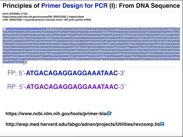 Biotechniques | Principles of Primer Design for Full Gene Amplification