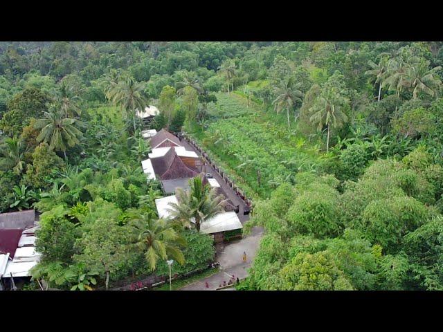 Tour Ima's Cafe Property || Joglo, Limasan & Mezzanine House, Orchard, Tropical & Vegetable Garden |