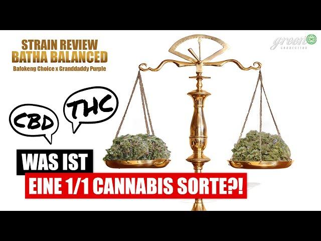 THC & CBD im gleichen Verhältnis ?! STRAIN REVIEW Granddaddy x Bafokeng Choice