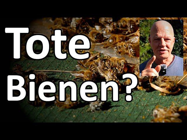 Bienen tot? Erster Bienenflug im Norden - Dunkle Biene, Carnica und Ligustica in der Durchlenzung