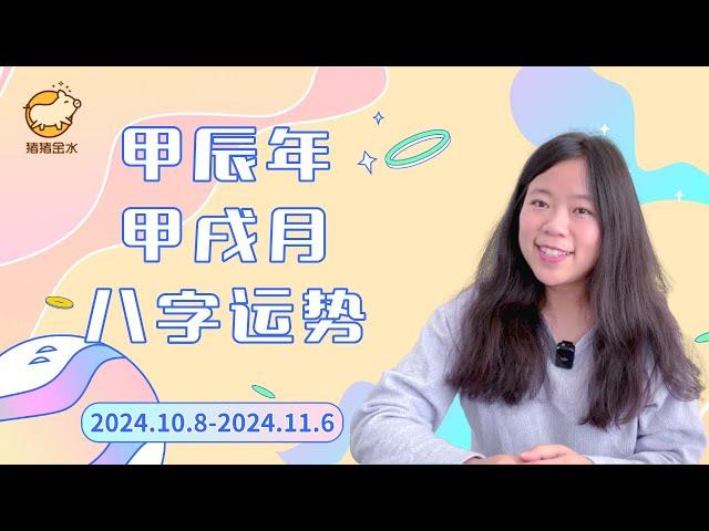 甲辰年甲戌月（24.10.8-24.11.6）八字运势【精华版】木土打架能量非常混乱猪猪运势