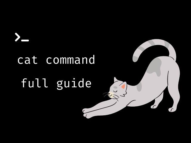 Cat Command Full Guide - Linux Command Line