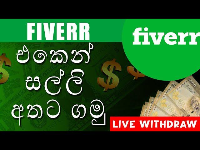 How to withdraw fiverr dollars to bank || fiverr dollars අතට ගමු 2023| fiverr earnings ||techtube