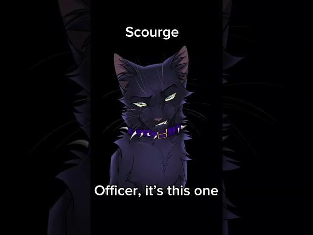 This is what your favourite warrior cat says about you IB: @Tef_Padma ~ #warriorcats#fypシ#oldtrend