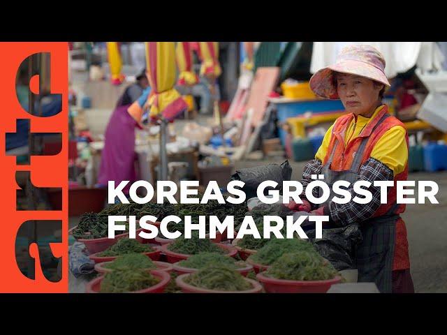 Südkorea: Der Fischmarkt | Märkte der Welt | ARTE Family