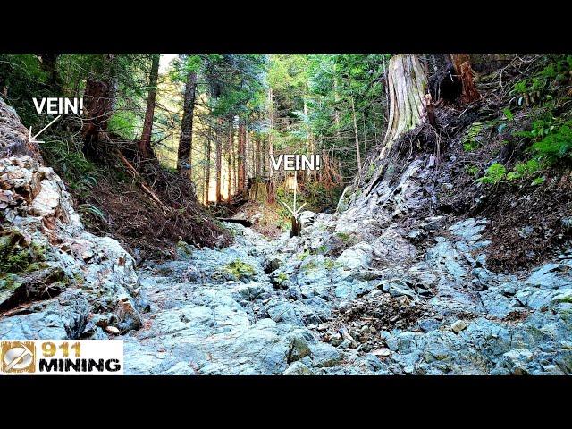 We Found Over 30 Mineralized Veins In This Creek Washout!