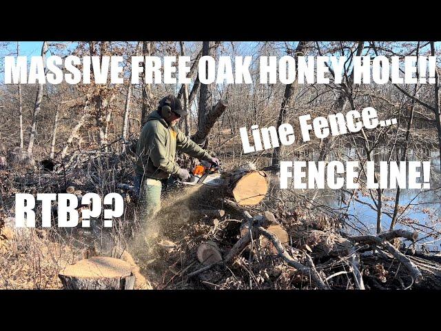 Huge Free Oak Discovery!! Testing The Waters!! #firewood