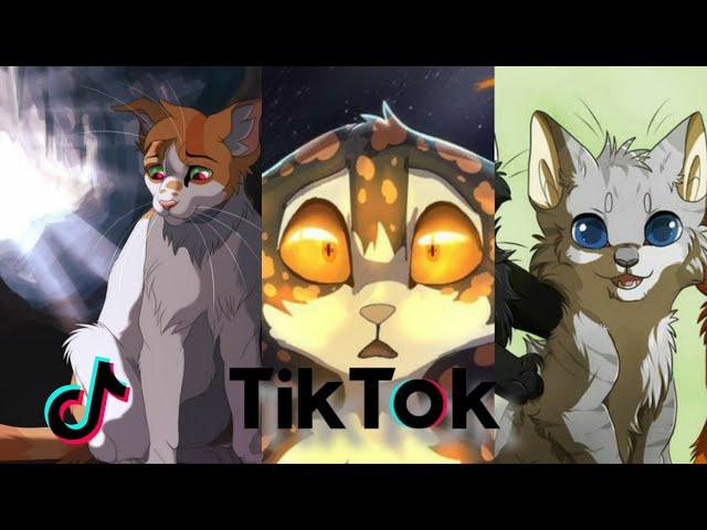 Warrior Cats TIKTOK COMPILATION// 5