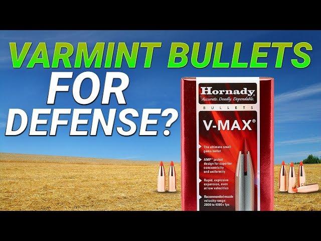 Varmint Bullets For Defense? .300AAC 110gr V-Max gel test