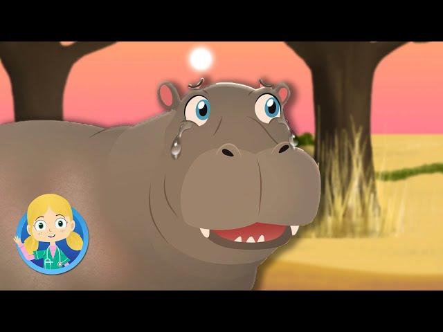 Hippo on Safari | Doctor Poppy' on Safari | Animals For Kids | Cartoon Animals