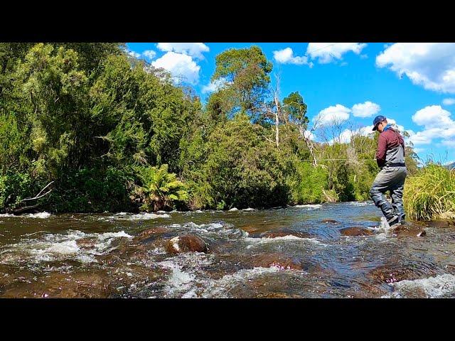 Fly Fishing the Rubicon River with Nymphs in Perfect Conditions!