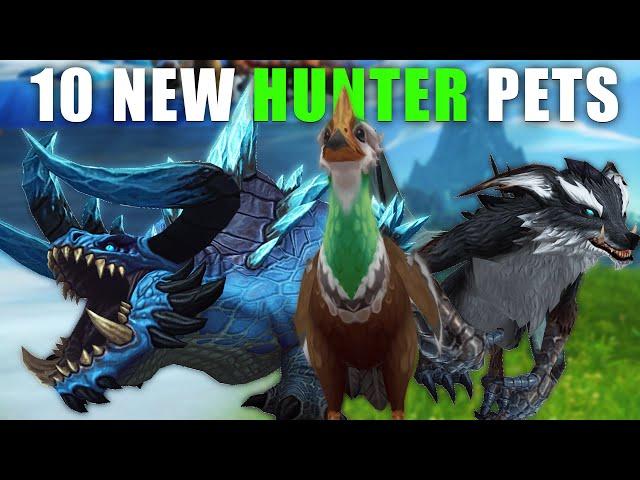 Top 10 New Hunter Pets Tamable in Dragonflight