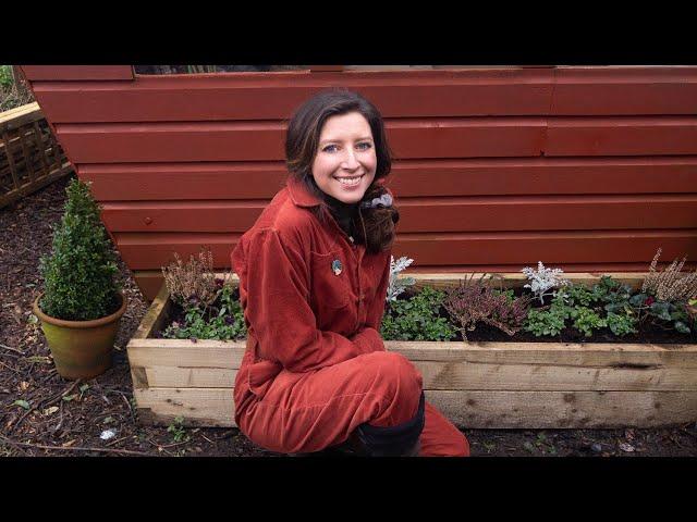 January 2020 Vlog and Allotment Tour / Homegrown Garden