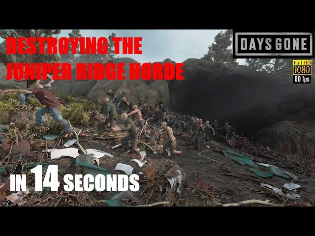 Days Gone PS5 - THE JUNIPER RIDGE HORDE - Destroying The 125 Strong Juniper Horde In 14 Seconds.