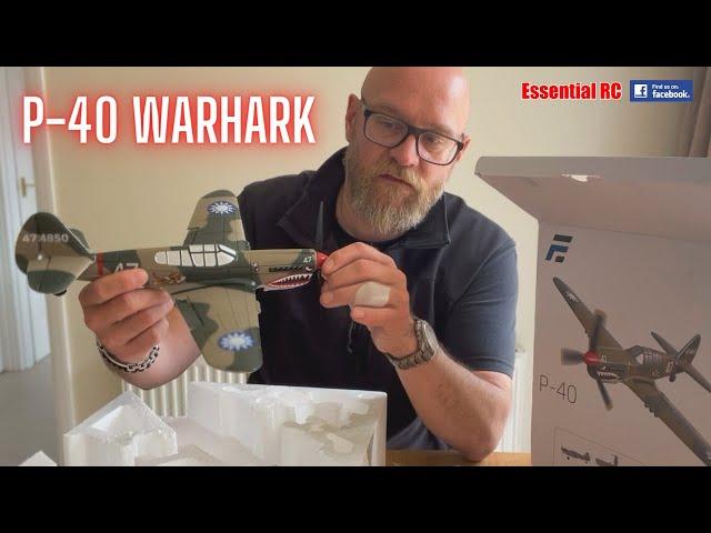 MICRO RC WARBIRD ! Curtiss P-40 Warhawk | Flight Test | EASY TO FLY & ALMOST INDESTRUCTIBLE