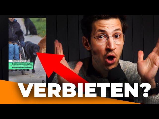 Sind Assistenzhunde Sklaven?