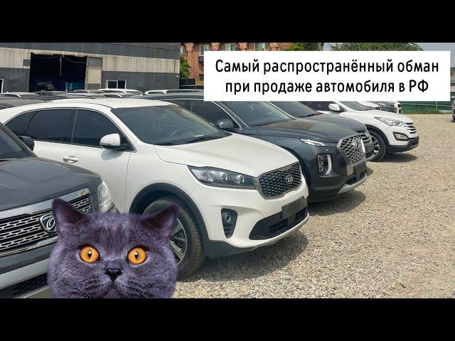 Сеул Авто.Почему в продаже на Autoru и Avito много хороших и недорогих автомобилей? Это в 99% обман