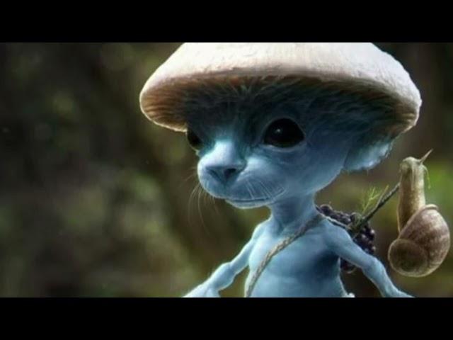 smurf cat song